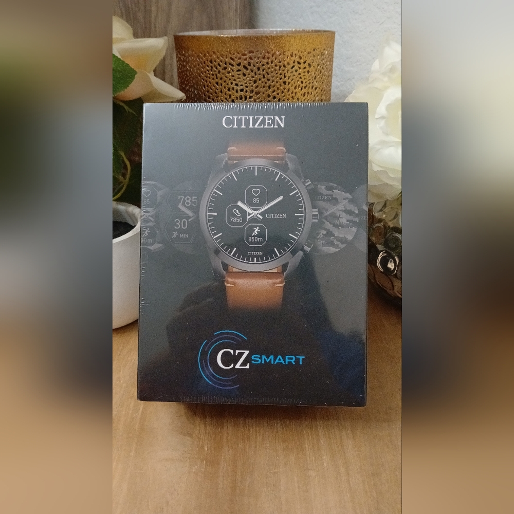 Citizen Black and Brown Chronograph Watch